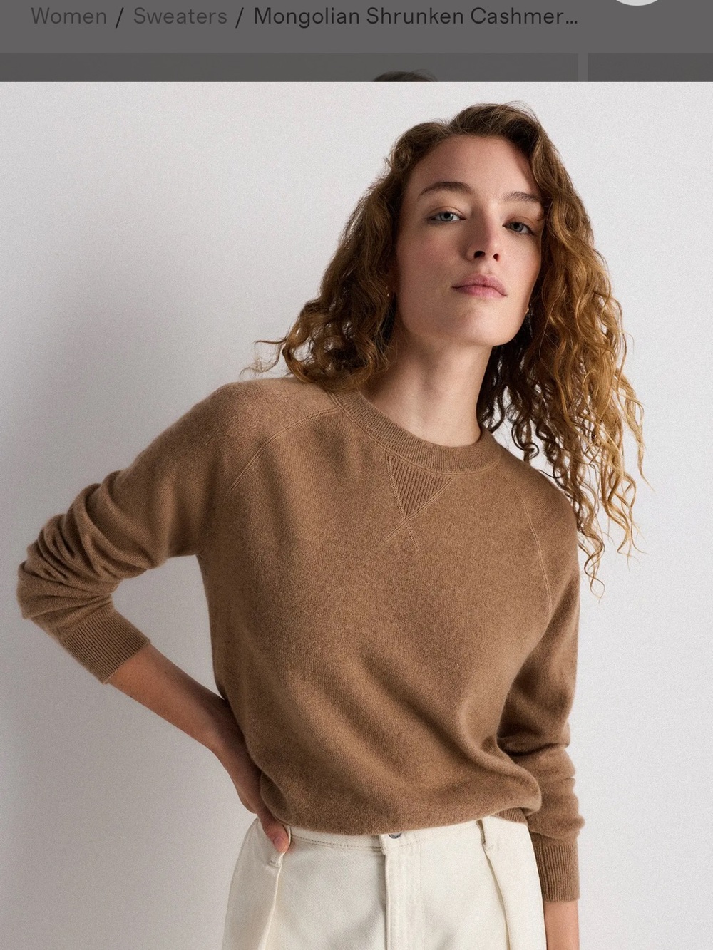 Quince Mongolian Shrunken Cashmere Sweatshirt Teak Brown Fall Preppy